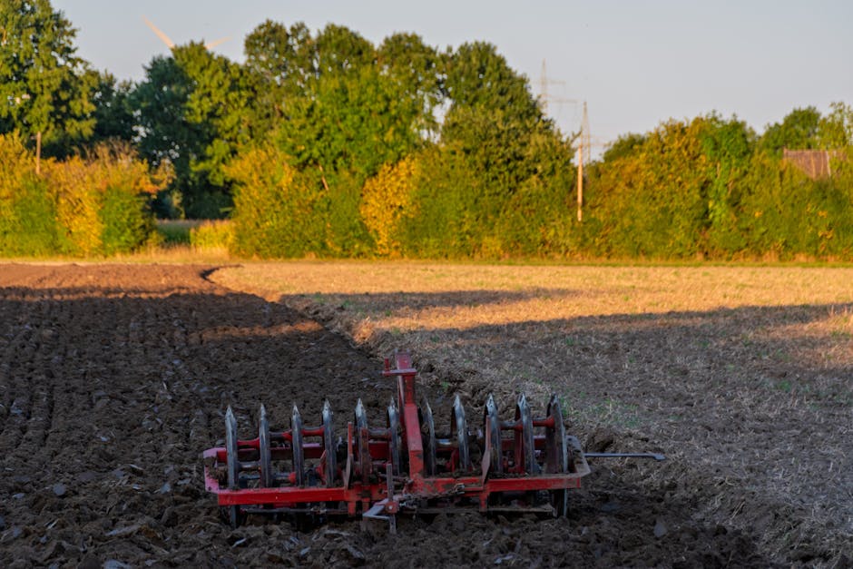 A red cultivator attachment with metal tines is working in a freshly tilled field, with dark, rich soil turned over and slightly uneven. In the background, there is a line of lush green trees under a